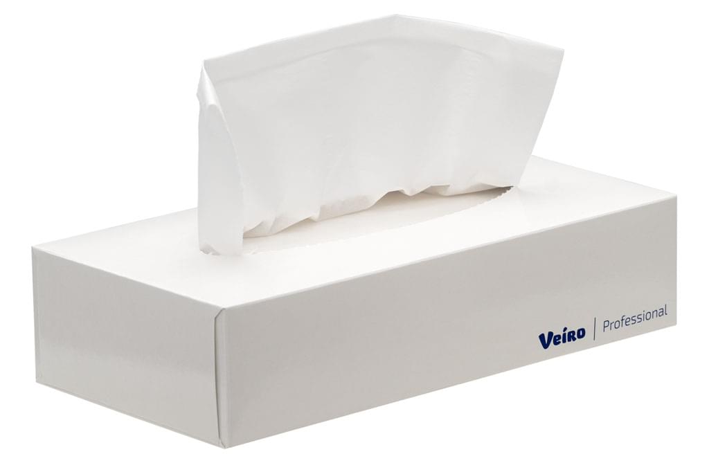 Салфетки бумажные косметические Veiro Professional Premium (пенал), цвет белый, 2 слоя, 100 листов, 200*200 мм (N302)